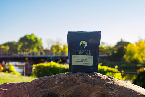 Nos origines uniques