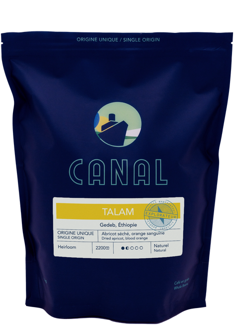 Talam